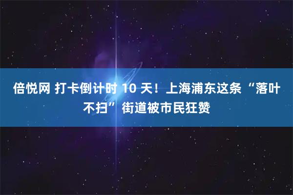 倍悦网 打卡倒计时 10 天！上海浦东这条 “落叶不扫” 街道被市民狂赞